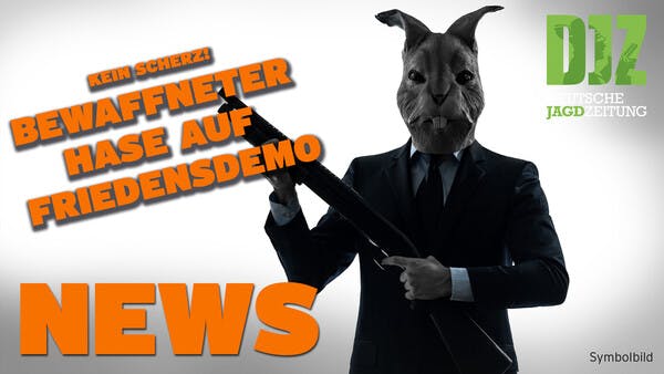 DJZ NEWS vom 30.März 2022 - Hase auf Friedensdemo, Dachs durchlöchert Deich, ASP-Update u.w.
