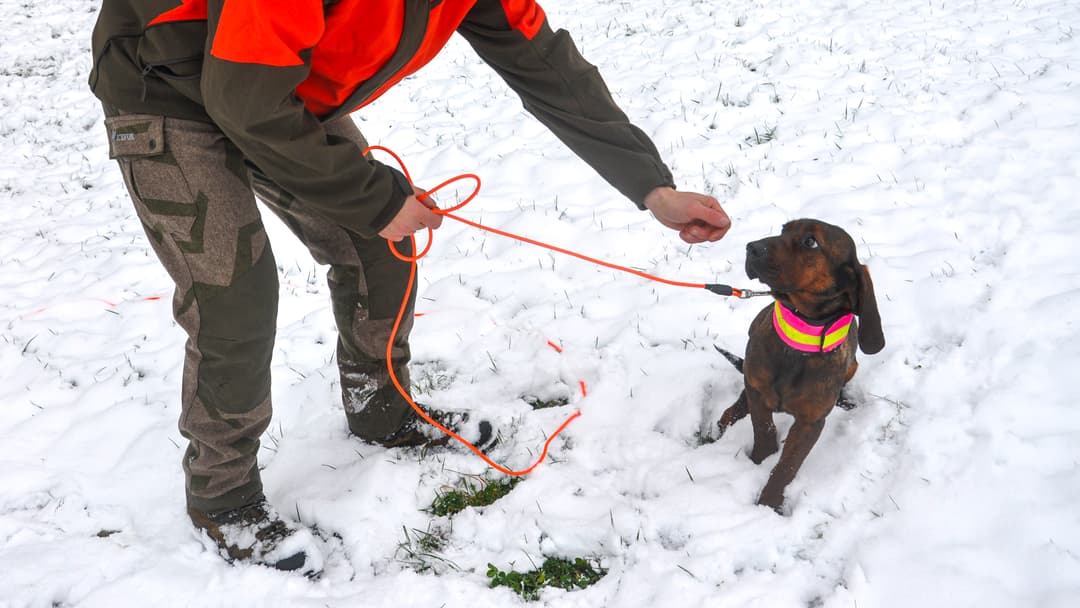 „Babsis“ Balance