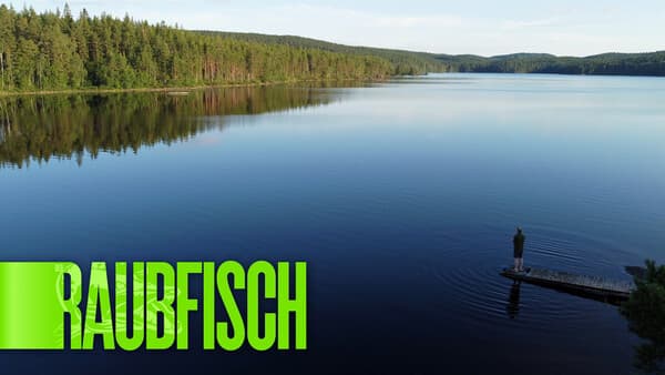 Natur pur im Värmland