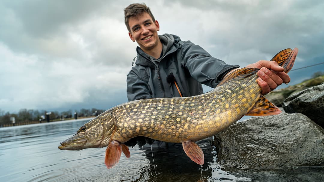 Unterwegs mit Profis