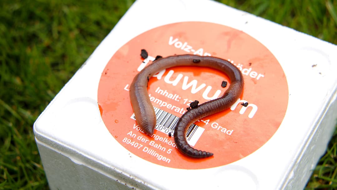 Rund um den Wurm