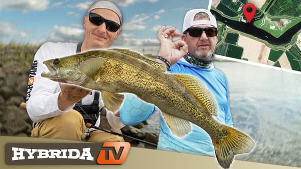 Was beißt am Tide-Kanal?