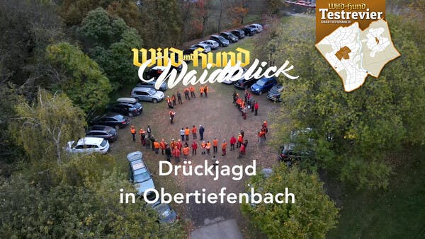 Drückjagd in Obertiefenbach 2022