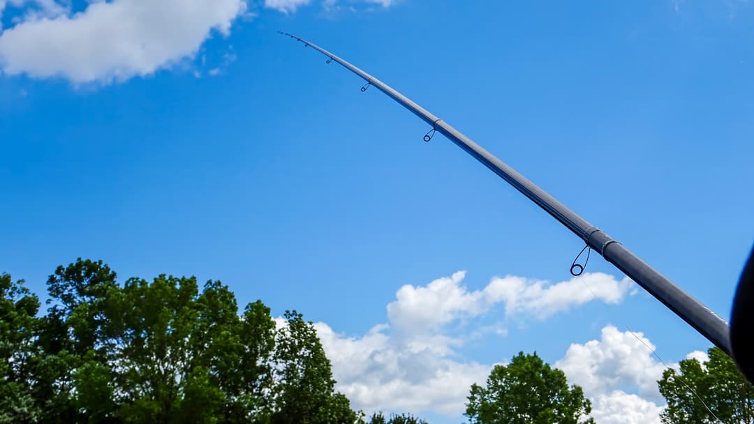Die Antenne zum Fisch