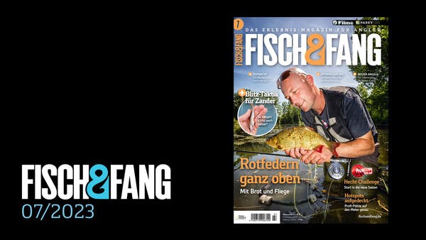FISCH & FANG 07/2023
