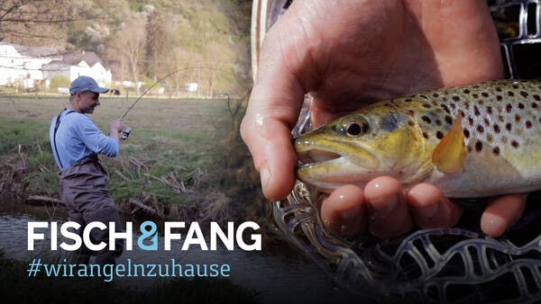 #WirAngelnZuHause: Am Forellenbach