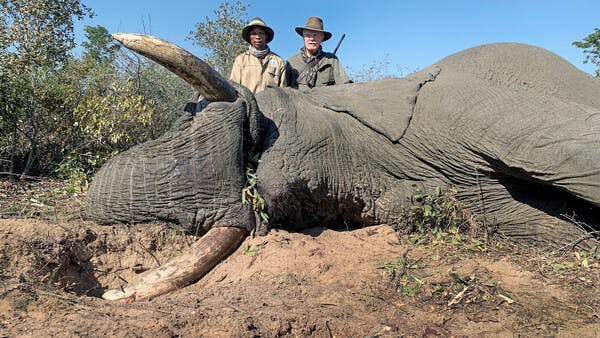 Schadelefant am Kavango