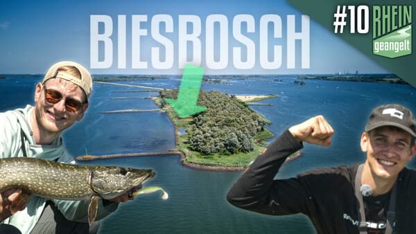 RHEINgeangelt: Biesbosch
