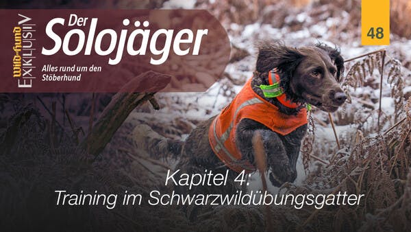 Der Solojäger - Kapitel 4 Training im Schwarzwildübungsgatter | WILD UND HUND-Exklusiv 48