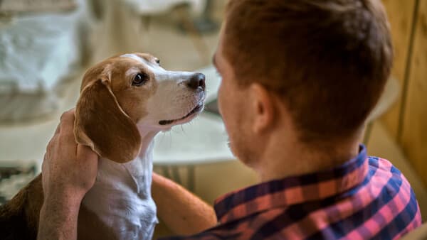 Lernen oder Mitgefühl?