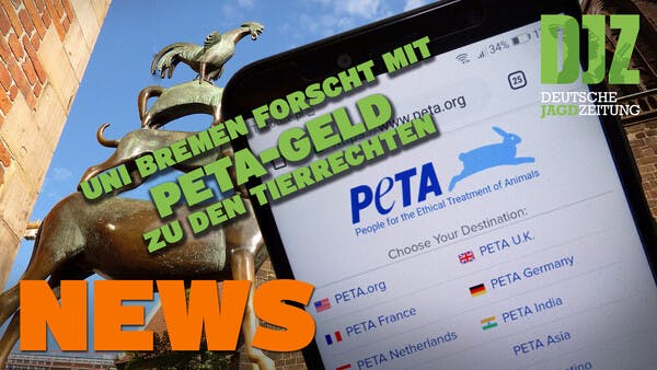 Uni forscht mit PETA-Geld zu Tierrechten, Wolfszahlen in Hessen steigen u.w. - DJZ NEWS vom 11.5.22