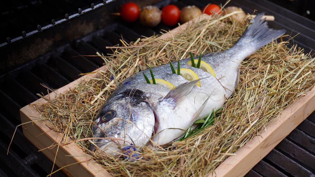 Dorade im Heubett