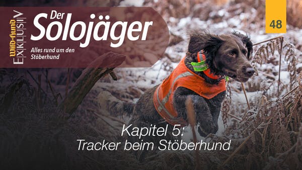 Der Solojäger - Kapitel 5 Tracker beim Stöberhund | WILD UND HUND-Exklusiv 48