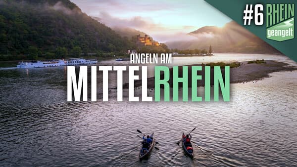 RHEINgeangelt: Köder-Challenge am Mittelrhein