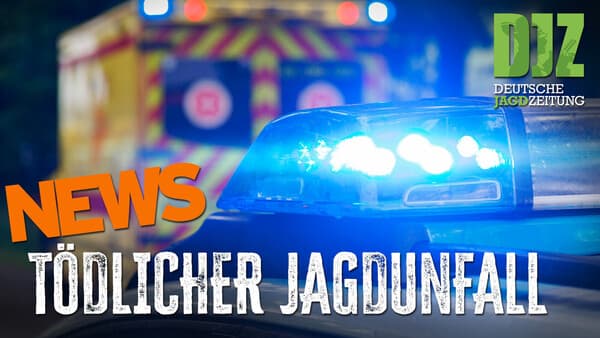 Jagdunfall im Westerwald, Waffenrecht & Zukunft des Sikawilds | DJZ-News