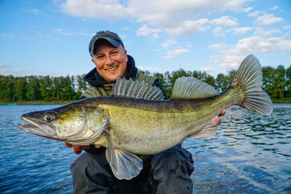 Die 7 größten Fehler