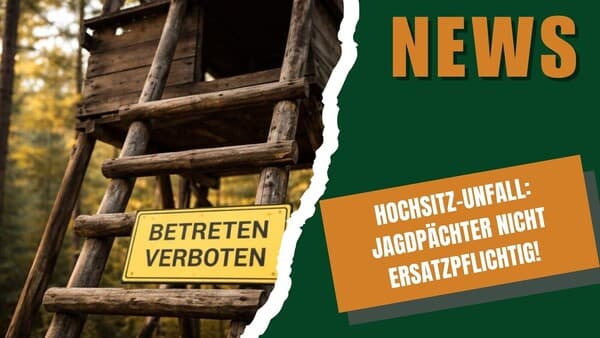 DJZ-News 25. Februar 2026 – Die Jagdnachrichten der Woche