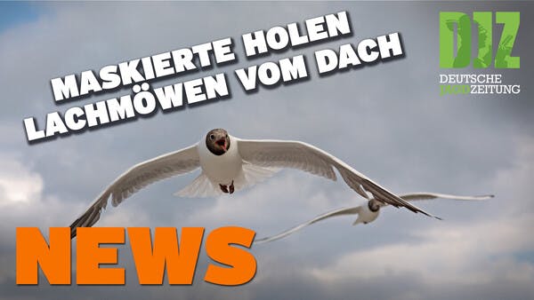 Ärger um Jagdscheinverlängerung, Pürzelprämie, Maskierte holen Brüter u.w. - DJZ NEWS 14/2022